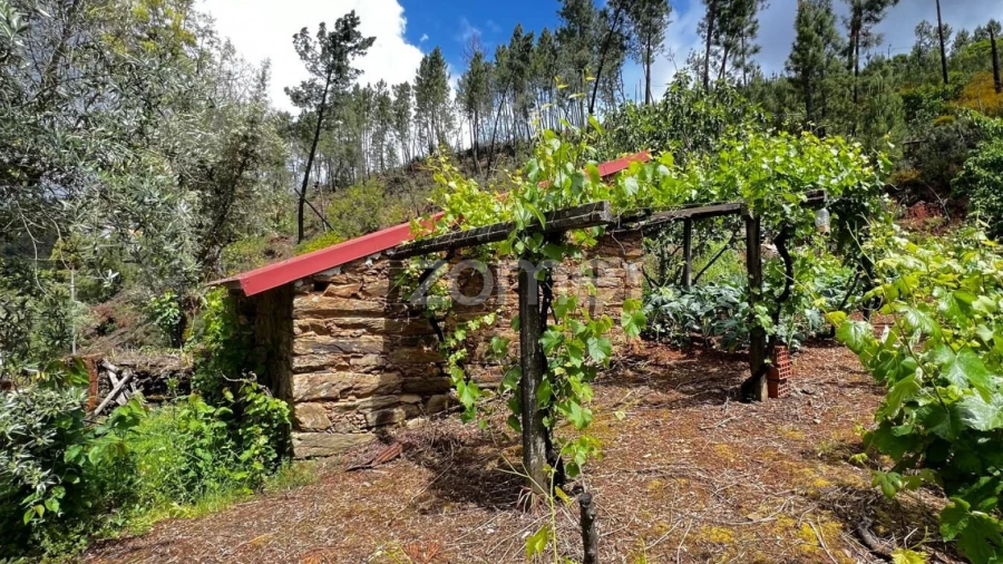 Terreno para Venda em Pampilhosa da Serra