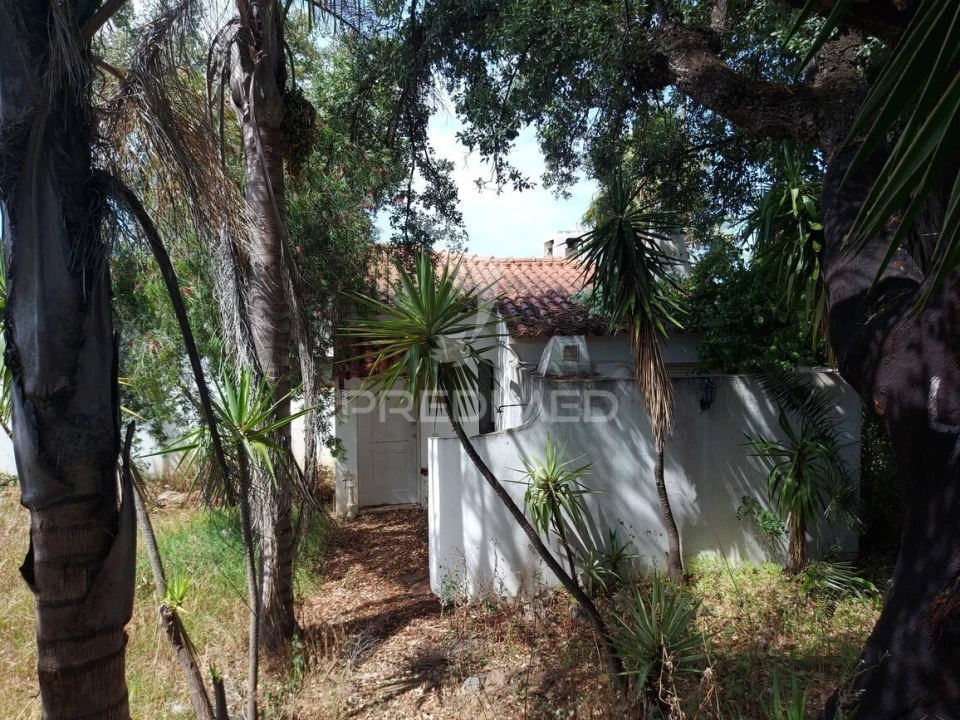 Moradia T2 para Venda em Albufeira e Olhos de Água Foto 2