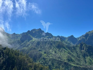 Terreno para Venda em Ribeira Brava