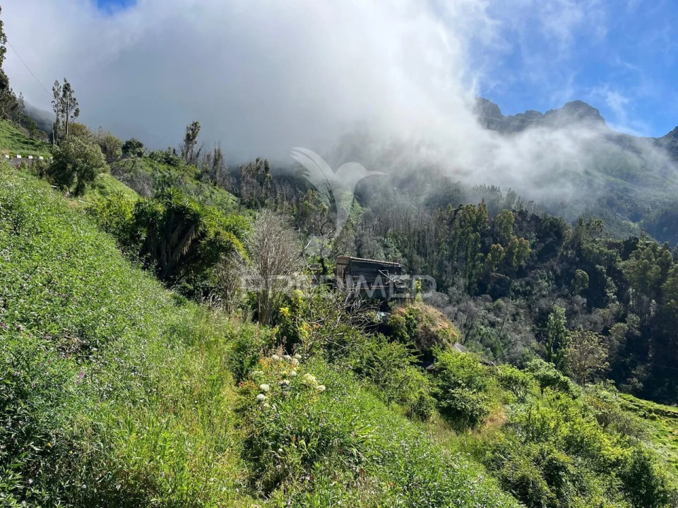 Terreno para Venda em Ribeira Brava Foto 7