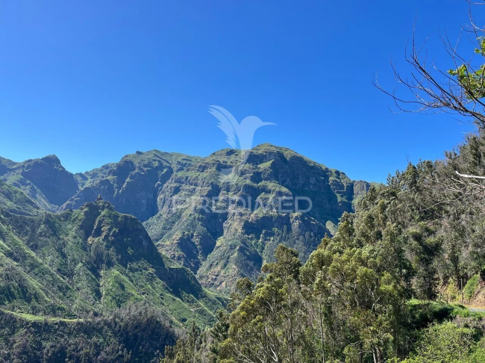 Terreno para Venda em Ribeira Brava Foto 4