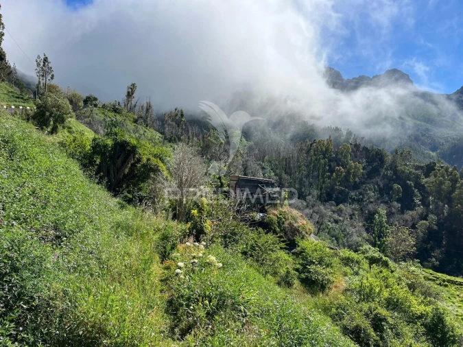 Terreno para Venda em Ribeira Brava Foto 7