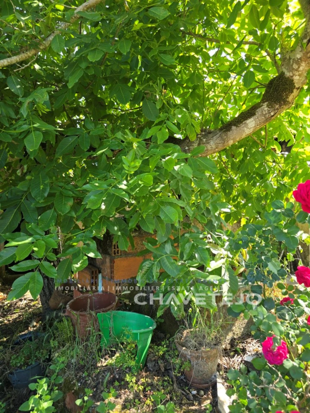 Quinta T2 para Venda em Além da Ribeira e Pedreira Foto 16
