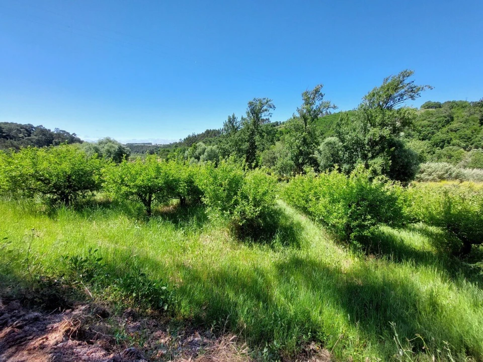 Terreno para Venda em A dos Negros Foto 7