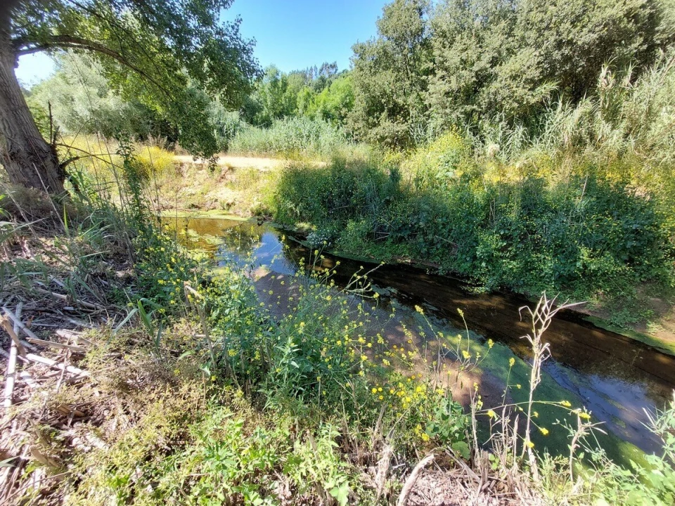 Terreno para Venda em A dos Negros Foto 11