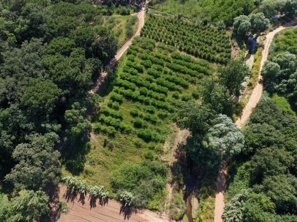 Terreno para Venda em A dos Negros Foto 19