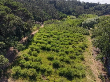 Terreno para Venda em A dos Negros