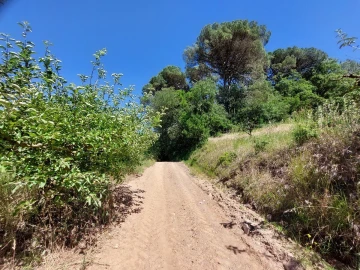 Terreno para Venda em A dos Negros