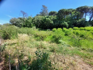 Terreno para Venda em A dos Negros