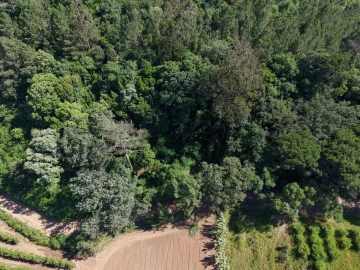 Terreno para Venda em A dos Negros