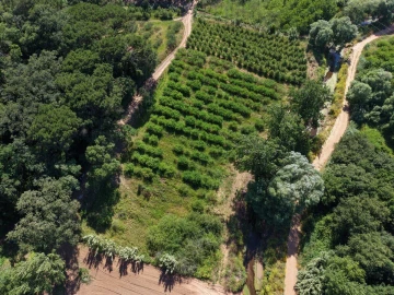 Terreno para Venda em A dos Negros