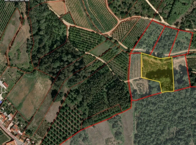 Terreno para Venda em A dos Negros Foto 3