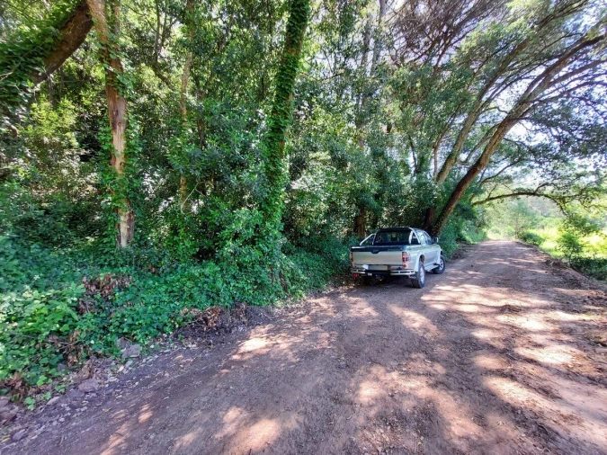 Terreno para Venda em A dos Negros Foto 6