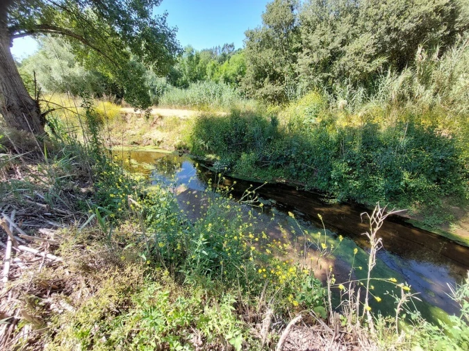 Terreno para Venda em A dos Negros Foto 11