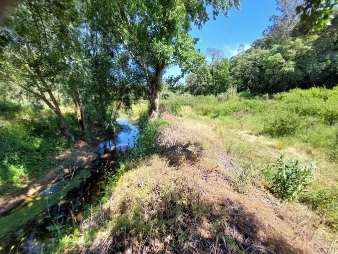 Terreno para Venda em A dos Negros Foto 12