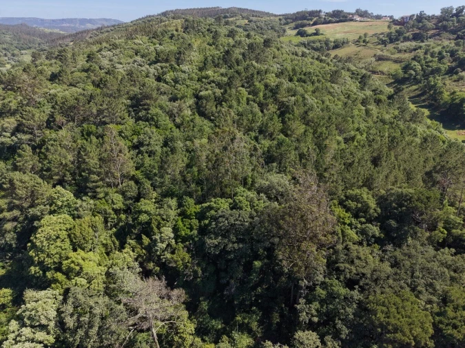 Terreno para Venda em A dos Negros Foto 17