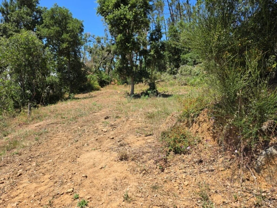 Moradia T4 para Venda em Monte Redondo e Carreira Foto 47