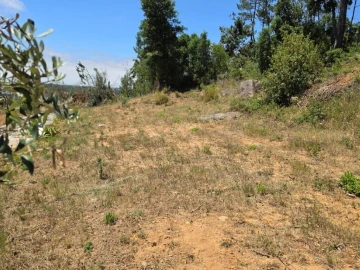 Moradia T4 para Venda em Monte Redondo e Carreira