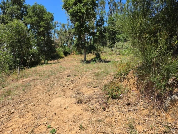 Moradia T4 para Venda em Monte Redondo e Carreira Foto 47