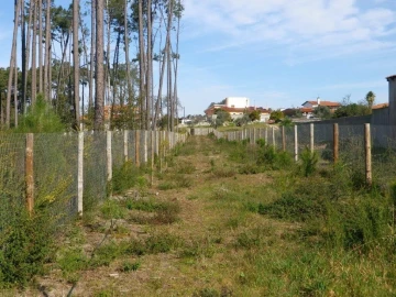 Moradia T5 para Venda em Monte Redondo e Carreira