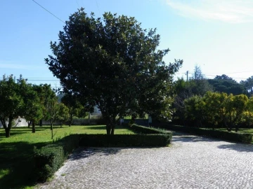 Moradia T5 para Venda em Monte Redondo e Carreira