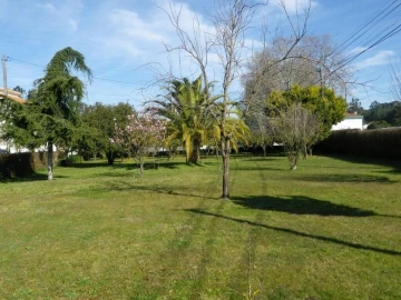 Moradia T5 para Venda em Monte Redondo e Carreira