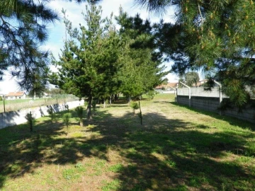 Terreno para Venda em Monte Redondo e Carreira