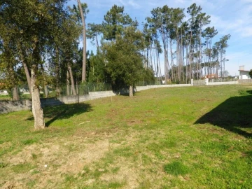 Terreno para Venda em Monte Redondo e Carreira