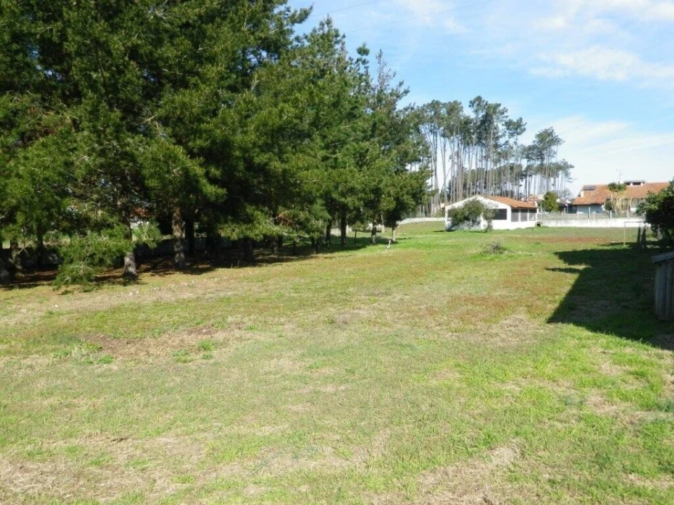 Terreno para Venda em Monte Redondo e Carreira Foto 5