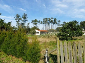 Terreno para Venda em Monte Redondo e Carreira