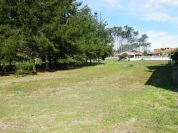 Terreno para Venda em Monte Redondo e Carreira