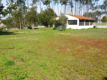 Terreno para Venda em Monte Redondo e Carreira