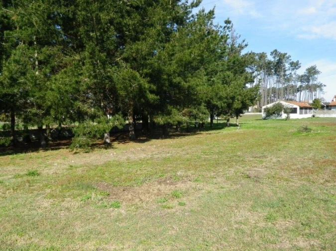 Terreno para Venda em Monte Redondo e Carreira Foto 6