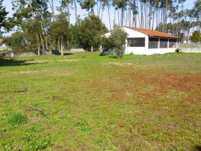 Terreno para Venda em Monte Redondo e Carreira Foto 2