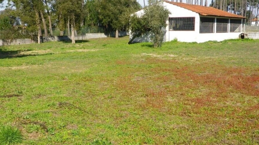 Terreno para Venda em Monte Redondo e Carreira