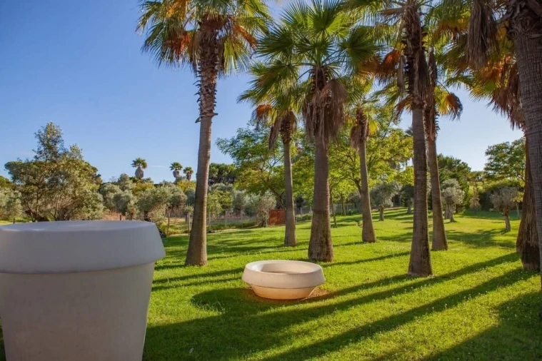 Moradia T3 para Venda em Albufeira e Olhos de Água Foto 30