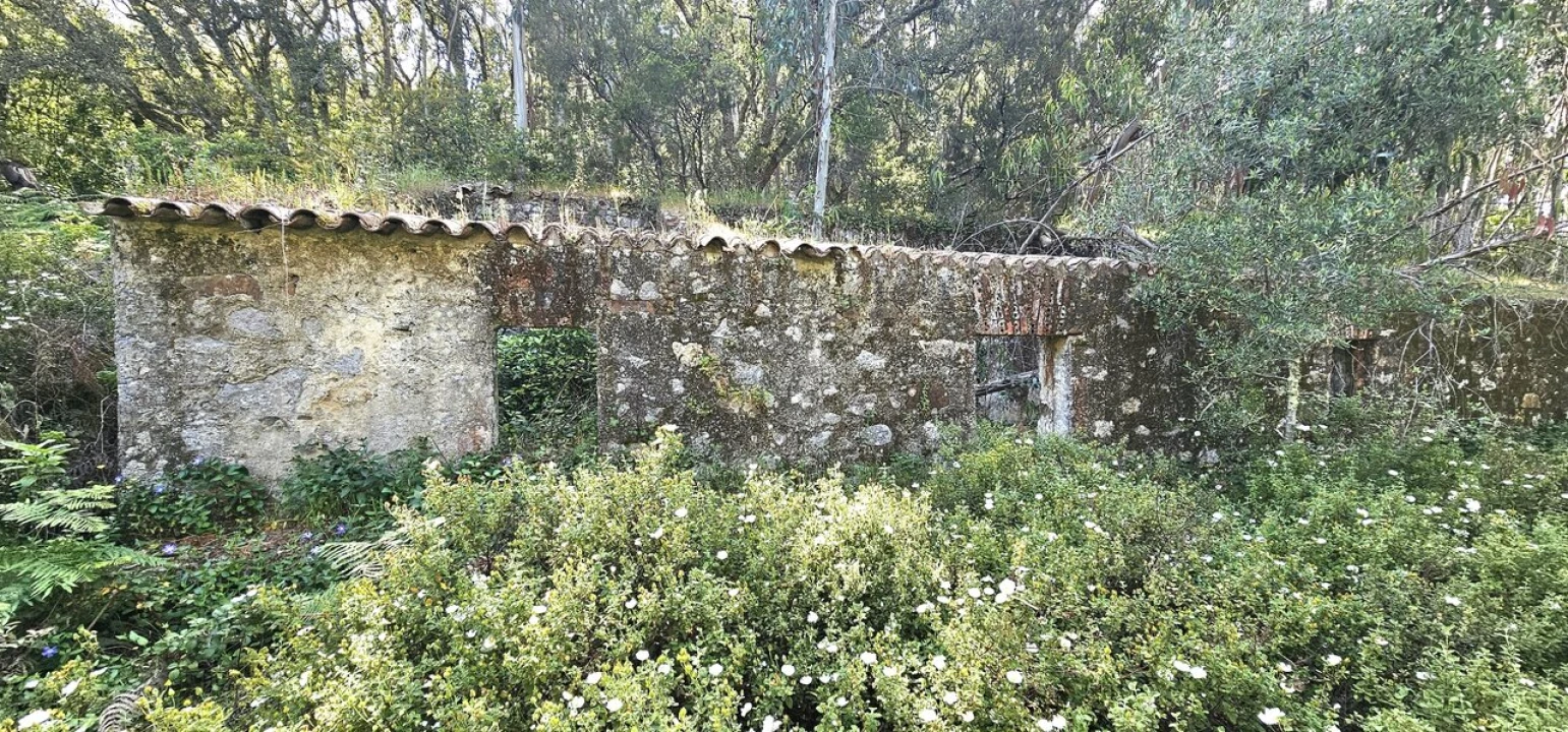 Moradia T2 para Venda em Marmelete Foto 1