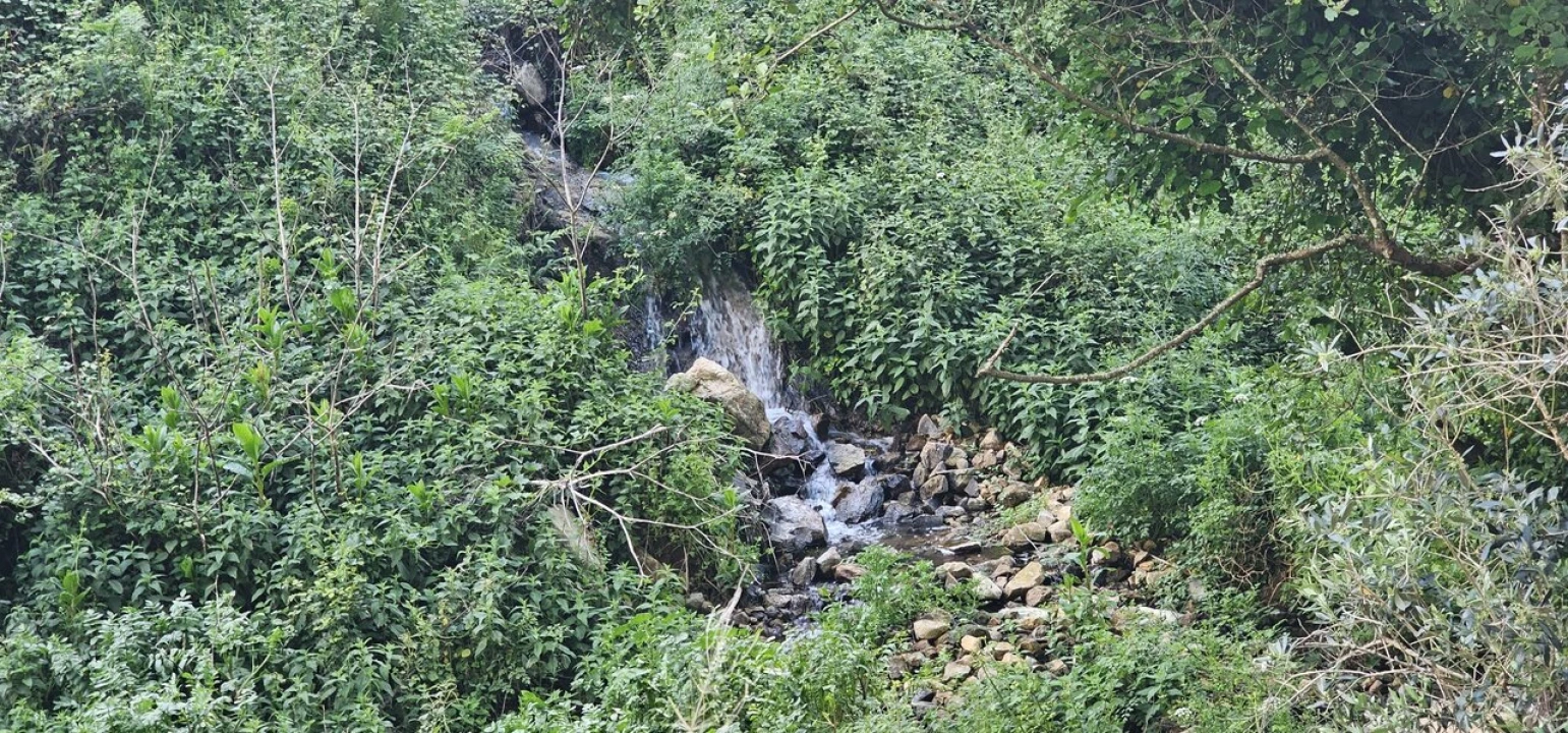 Moradia T2 para Venda em Marmelete Foto 3