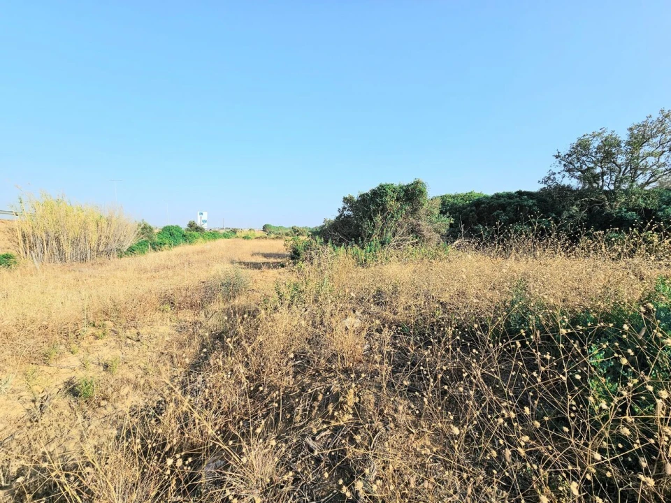 Terreno para Venda em Alcantarilha e Pêra Foto 5