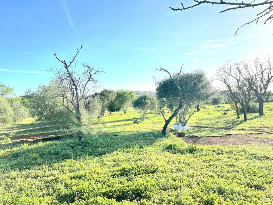 Terreno para Venda em Alcantarilha e Pêra Foto 1