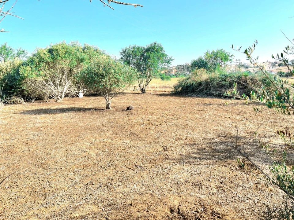 Terreno para Venda em Alcantarilha e Pêra Foto 8