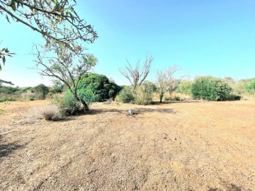 Terreno para Venda em Alcantarilha e Pêra