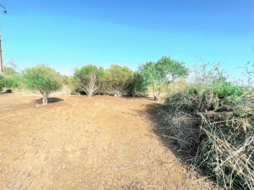 Terreno para Venda em Alcantarilha e Pêra