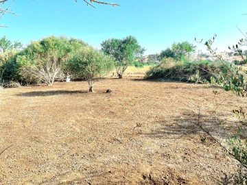 Terreno para Venda em Alcantarilha e Pêra