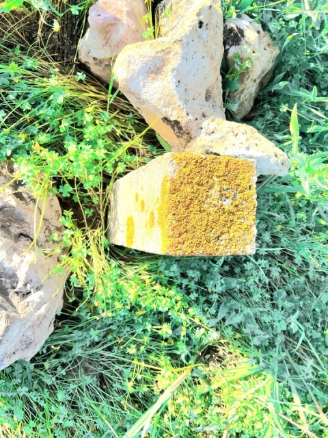 Terreno para Venda em Alcantarilha e Pêra