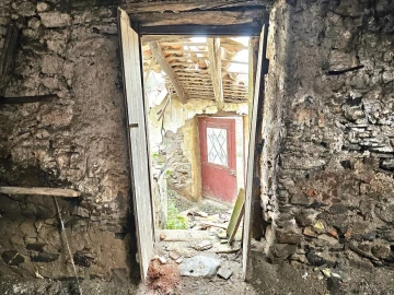 Armazém para Venda em Alferce