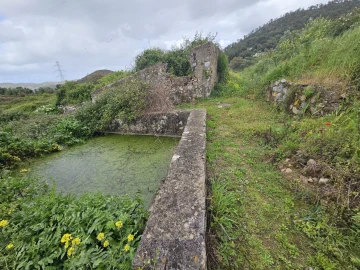 Terreno para Venda em Monchique
