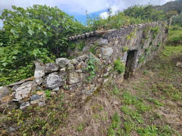 Terreno para Venda em Monchique