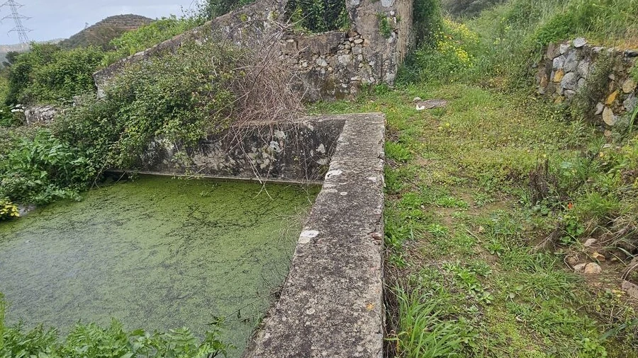 Terreno para Venda em Monchique