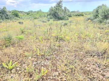 Moradia T2 para Venda em Silves